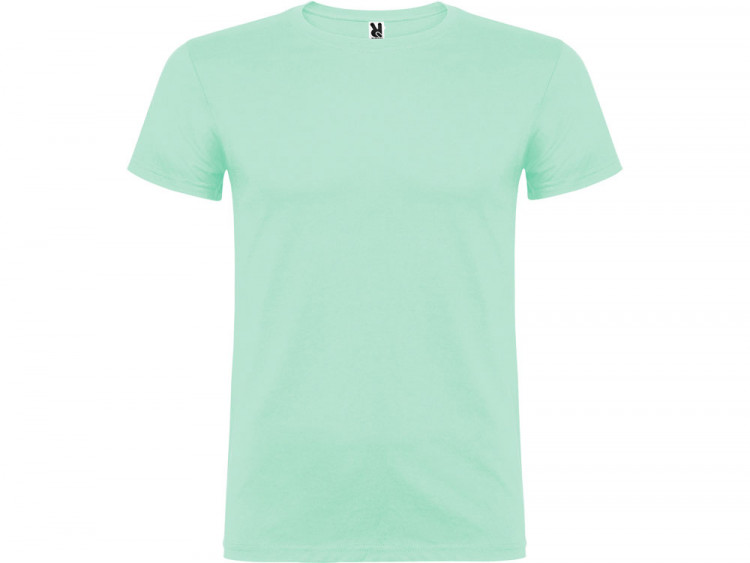Футболка Beagle мужская, ментоловый