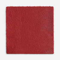 Лейбл кожаный Pasek, L, красный