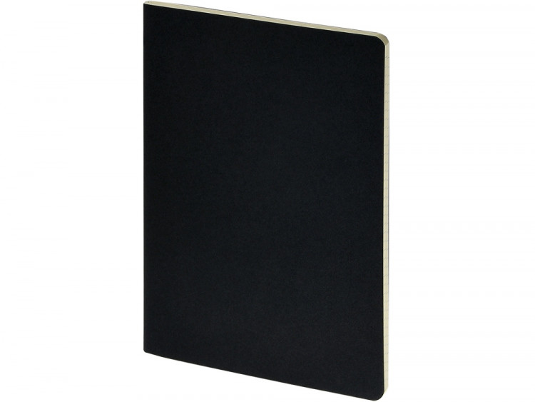 Бизнес-тетрадь А4 Pragmatic,  40л., клетка, черный