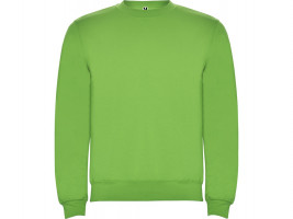 Свитшот с начесом Clasica унисекс, зеленое яблоко