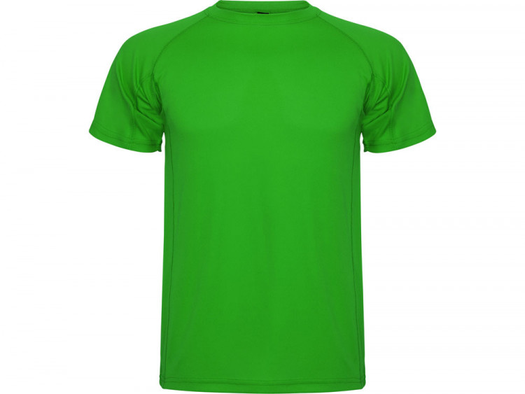 Спортивная футболка Montecarlo мужская, папоротниковый