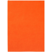 Ежедневник Flat Light, недатированный, оранжевый