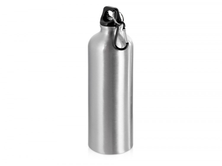 Бутылка Hip M с карабином, 770 мл, серебристый