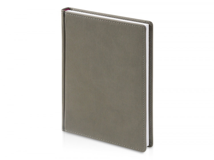 Ежедневник А5 датированный Velvet 2026, серый