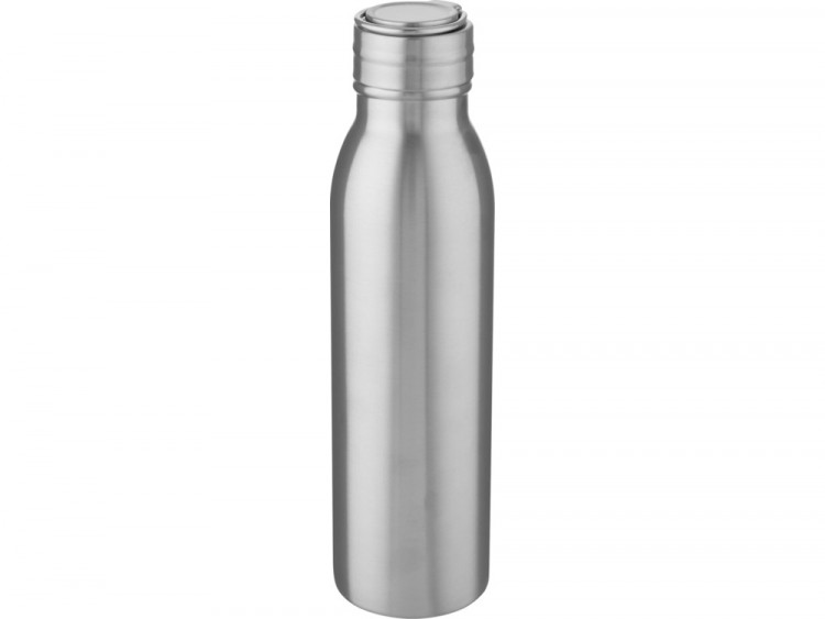 Harper, спортивная бутылка из нержавеющей стали объемом 700 мл с металлической петлей, серебристый
