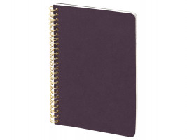 Бизнес тетрадь на гребне А5 Pragmatic, 60 листов в клетку, фиолетовый