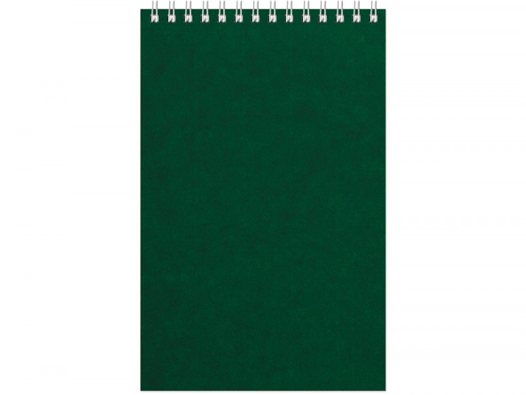 Бизнес - блокнот Альт А5 (127 х 198 мм) Office 60 л., зеленый