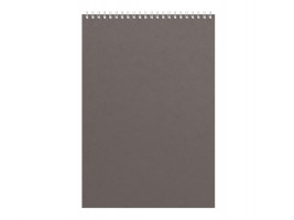 Бизнес - блокнот Альт А4 (198 х 285 мм) Office 60 л., серый