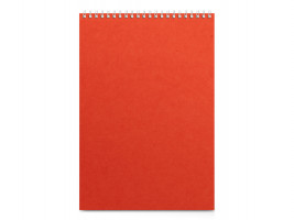 Бизнес - блокнот А4 (198 х 285 мм) Office 60 л., оранжевый