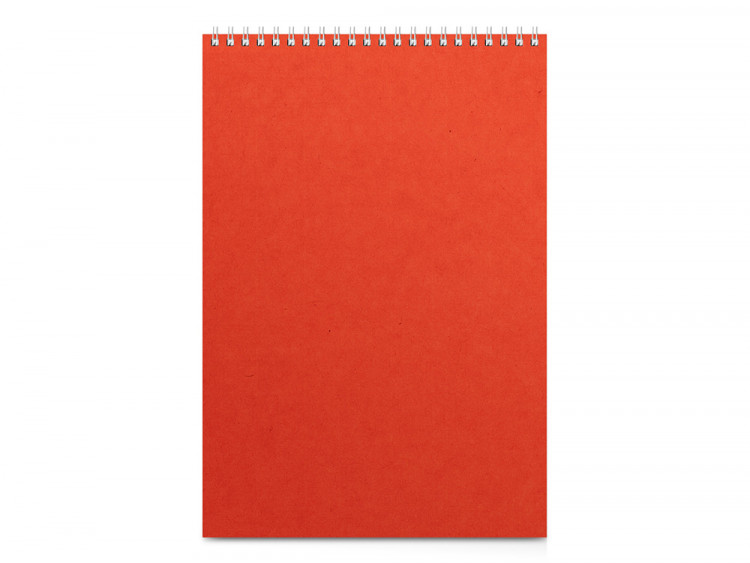 Бизнес - блокнот А4 (198 х 285 мм) Office 60 л., оранжевый