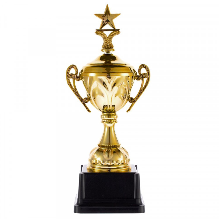 Кубок Top Star